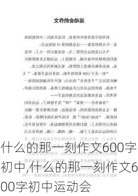 什么的那一刻作文600字初中,什么的那一刻作文600字初中运动会