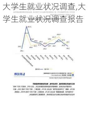 大学生就业状况调查,大学生就业状况调查报告