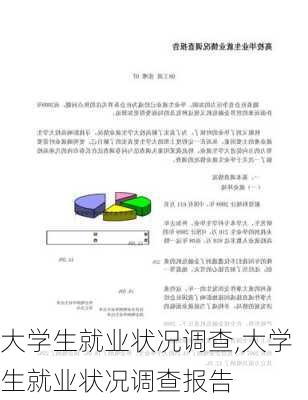 大学生就业状况调查,大学生就业状况调查报告