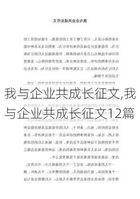 我与企业共成长征文,我与企业共成长征文12篇