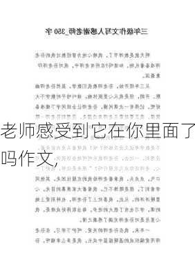 老师感受到它在你里面了吗作文,