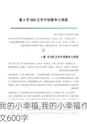 我的小幸福,我的小幸福作文600字