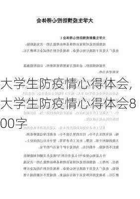 大学生防疫情心得体会,大学生防疫情心得体会800字