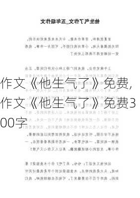 作文《他生气了》免费,作文《他生气了》免费300字