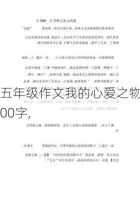 五年级作文我的心爱之物400字,