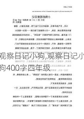 观察日记小狗,观察日记小狗400字四年级