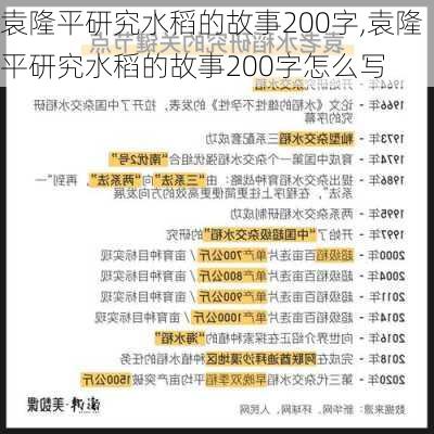 袁隆平研究水稻的故事200字,袁隆平研究水稻的故事200字怎么写