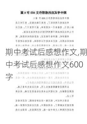 期中考试后感想作文,期中考试后感想作文600字