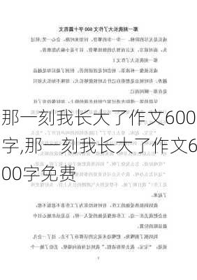 那一刻我长大了作文600字,那一刻我长大了作文600字免费