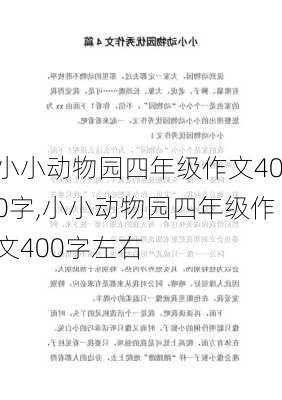 小小动物园四年级作文400字,小小动物园四年级作文400字左右