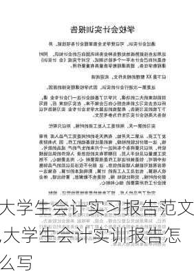 大学生会计实习报告范文,大学生会计实训报告怎么写