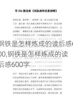 钢铁是怎样炼成的读后感600,钢铁是怎样炼成的读后感600字