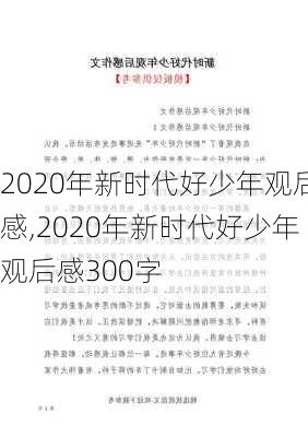 2020年新时代好少年观后感,2020年新时代好少年观后感300字