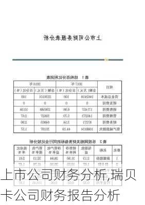 上市公司财务分析,瑞贝卡公司财务报告分析