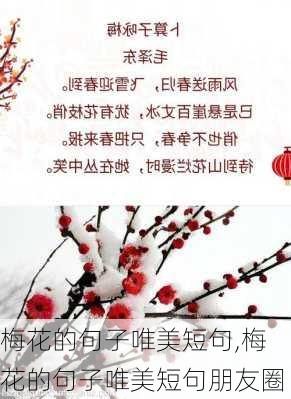 梅花的句子唯美短句,梅花的句子唯美短句朋友圈