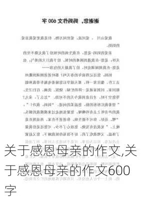 关于感恩母亲的作文,关于感恩母亲的作文600字