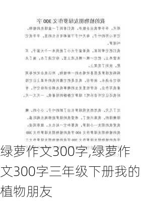 绿萝作文300字,绿萝作文300字三年级下册我的植物朋友