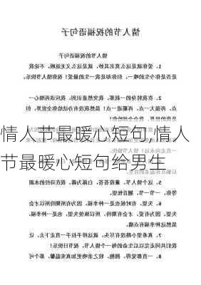 情人节最暖心短句,情人节最暖心短句给男生