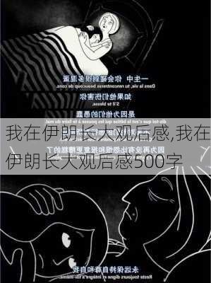 我在伊朗长大观后感,我在伊朗长大观后感500字