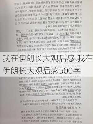 我在伊朗长大观后感,我在伊朗长大观后感500字