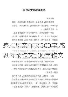 感恩母亲作文500字,感恩母亲作文500字作文