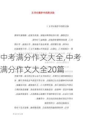 中考满分作文大全,中考满分作文大全20篇