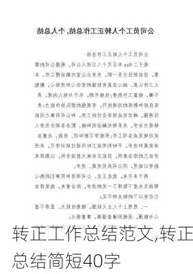 转正工作总结范文,转正总结简短40字