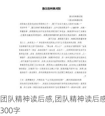 团队精神读后感,团队精神读后感300字