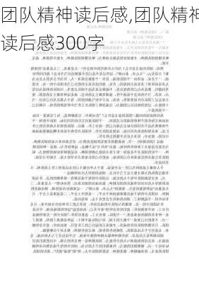 团队精神读后感,团队精神读后感300字