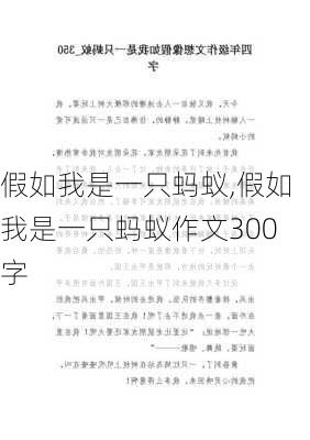 假如我是一只蚂蚁,假如我是一只蚂蚁作文300字