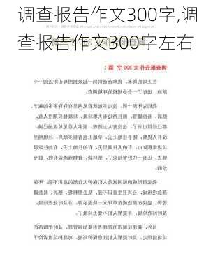 调查报告作文300字,调查报告作文300字左右