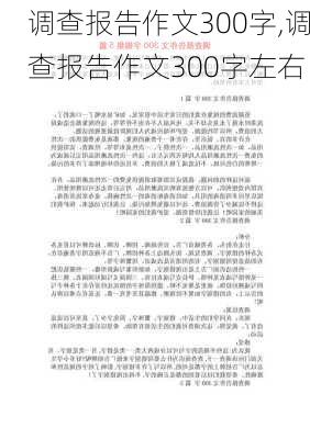 调查报告作文300字,调查报告作文300字左右