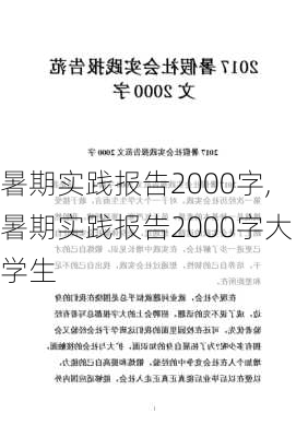 暑期实践报告2000字,暑期实践报告2000字大学生