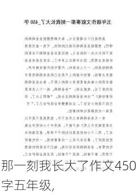 那一刻我长大了作文450字五年级,