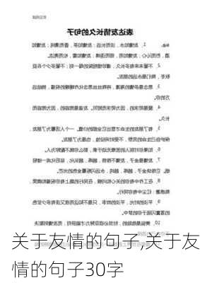 关于友情的句子,关于友情的句子30字