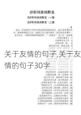 关于友情的句子,关于友情的句子30字