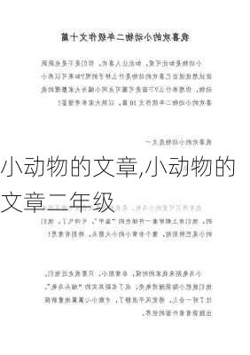 小动物的文章,小动物的文章二年级