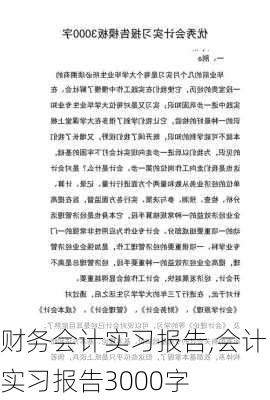 财务会计实习报告,会计实习报告3000字