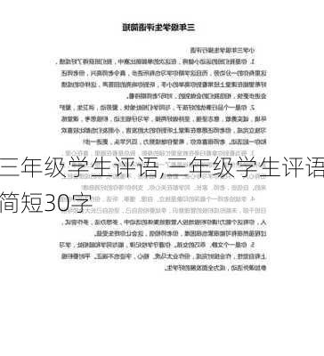 三年级学生评语,三年级学生评语简短30字