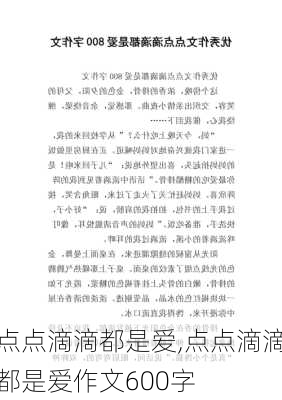 点点滴滴都是爱,点点滴滴都是爱作文600字