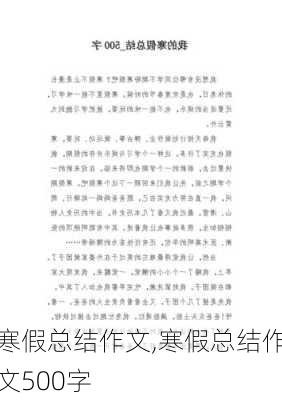 寒假总结作文,寒假总结作文500字