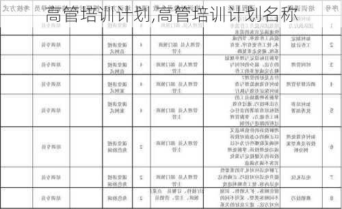 高管培训计划,高管培训计划名称