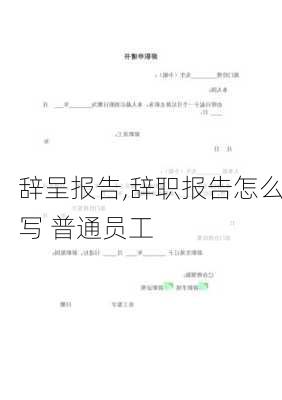 辞呈报告,辞职报告怎么写 普通员工