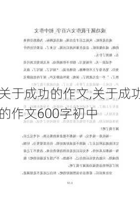 关于成功的作文,关于成功的作文600字初中