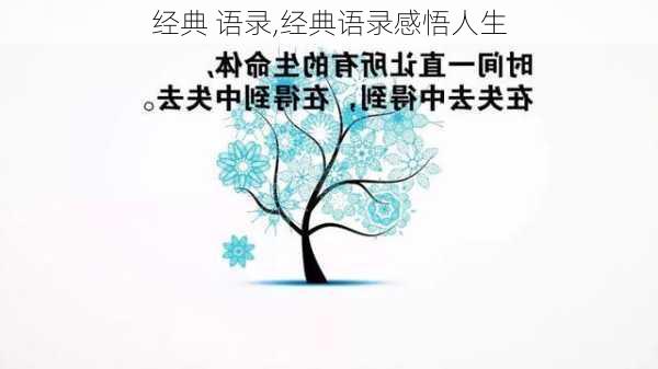 经典 语录,经典语录感悟人生