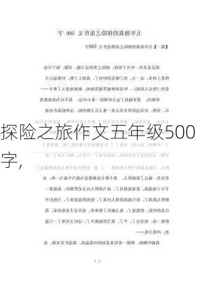 探险之旅作文五年级500字,