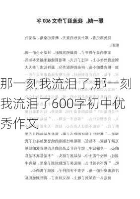 那一刻我流泪了,那一刻我流泪了600字初中优秀作文