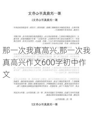 那一次我真高兴,那一次我真高兴作文600字初中作文