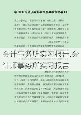 会计事务所实习报告,会计师事务所实习报告