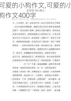 可爱的小狗作文,可爱的小狗作文400字